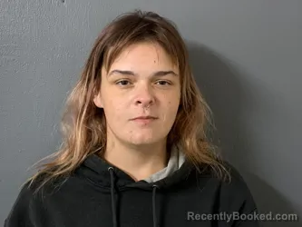 Mugshot of Amber Lynn Murphy booked in Hardee County, Florida on October 25, 2026