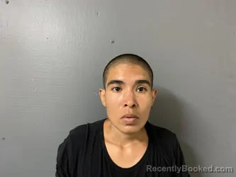 Mugshot of Daniela Martinez booked in Hardee County, Florida on May 2, 2026
