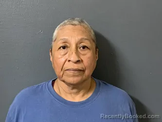 Mugshot of Georgina Molina Ramirez booked in Hardee County, Florida on July 31, 2026