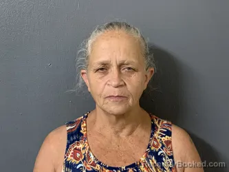 Mugshot of Janet Marie Malagon booked in Hardee County, Florida on October 23, 2026