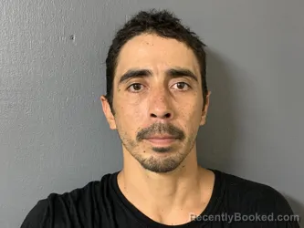 Mugshot of Manuel Martinez booked in Hardee County, Florida on July 2, 2026