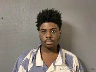 Mugshot of Ta'narius Ward Manning booked in Hardee County, Florida on May 20, 2026