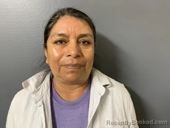 Mugshot of Alejandra Ortiz Munoz booked in Hardee County, Florida on April 3, 2026