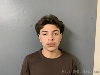 Mugshot of Julian Patino Gallardo