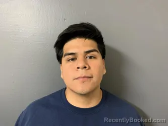 Mugshot of Luis Paulino