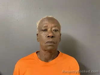 Mugshot of Malinda Faye Peterson