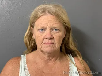 Mugshot of Michelle Lee Paul booked in Hardee County, Florida on August 19, 2026