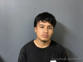 Mugshot of Rolbin Roldan Perez Perez
