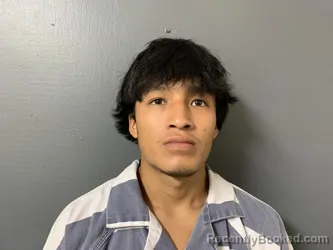 Mugshot of Rolbin Roldan Perez Perez booked in Hardee County, Florida on September 11, 2026