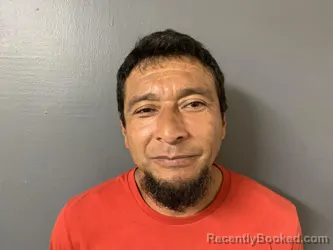 Mugshot of Enrique Garcia Retana booked in Hardee County, Florida on October 20, 2026