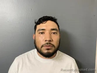 Mugshot of Harol Alejandro Renteria Perez