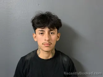 Mugshot of Luis Rocha booked in Hardee County, Florida on June 10, 2026