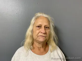 Mugshot of Mary Ann Ramirez booked in Hardee County, Florida on September 4, 2026