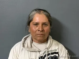 Mugshot of Maria Gabriela Roman Terrazas booked in Hardee County, Florida on April 14, 2026
