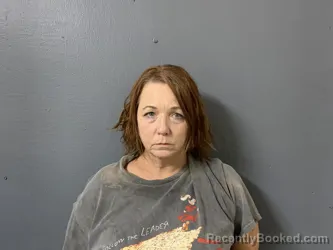 Mugshot of Katherine Michelle Sink booked in Hardee County, Florida on September 1, 2026