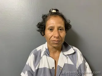 Mugshot of Jessica Linda Tamayo booked in Hardee County, Florida on August 29, 2026
