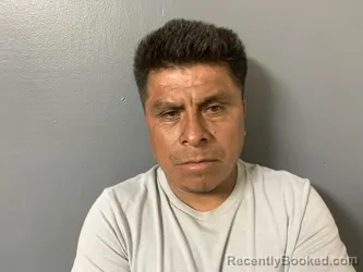 Mugshot of Leonides Tenango Garcia booked in Hardee County, Florida on October 22, 2026