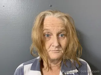 Mugshot of Melissa Bree Todd booked in Hardee County, Florida on October 2, 2026