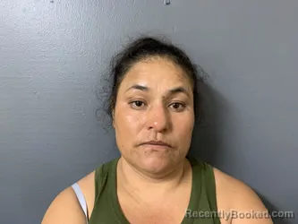 Mugshot of Petra Torres Contreras booked in Hardee County, Florida on September 4, 2026