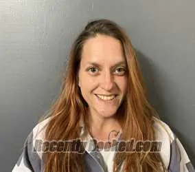 Booking photo from Hardee County, Florida
