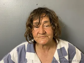 Mugshot of Olga Lydia Ulloa