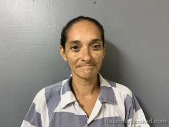 Mugshot of Jessica Prince Valdez booked in Hardee County, Florida on August 19, 2026