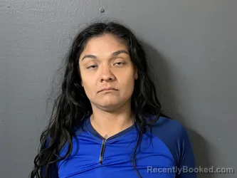 Mugshot of Vianca Villarreal booked in Hardee County, Florida on April 2, 2026