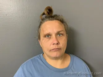 Mugshot of Crystal Leeann Wilson booked in Hardee County, Florida on April 1, 2026