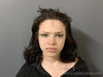 Mugshot of Isabella Sophia Marie Walker booked in Hardee County, Florida on September 10, 2026