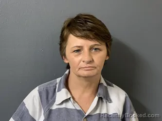 Mugshot of Jessica Ann Williamson booked in Hardee County, Florida on September 4, 2026