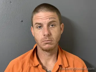 Mugshot of Shawn William Willis