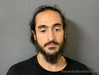 Mugshot of Theodore Travis Wheeler