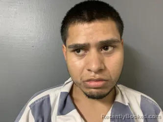 Mugshot of Christian Zamora booked in Hardee County, Florida on October 6, 2026