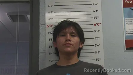 Mugshot of STEPHEN HENDERSON booked in Sandoval County, New Mexico on March 12, 2026