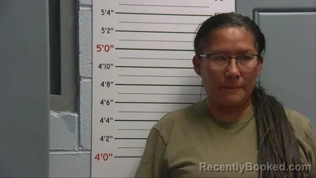 Mugshot of CHERYL LYNN CHINANA booked in Sandoval County, New Mexico on April 1, 2026