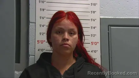 Mugshot of DESIREE MONIQUE HAUSNER booked in Sandoval County, New Mexico on April 4, 2026