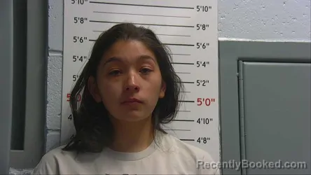 Mugshot of ANGELICA MARIE MAESTAS booked in Sandoval County, New Mexico on April 15, 2026
