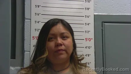 Mugshot of ELICIA CASTILLO booked in Sandoval County, New Mexico on April 17, 2026