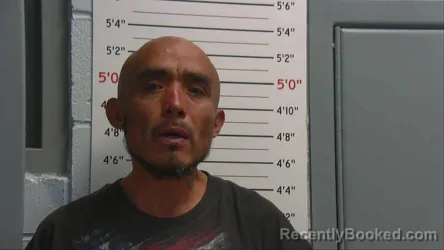 Mugshot of ELVIS TOLEDO booked in Sandoval County, New Mexico on April 18, 2026
