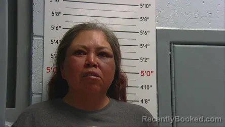 Mugshot of JOHANNA PINTO booked in Sandoval County, New Mexico on April 18, 2026