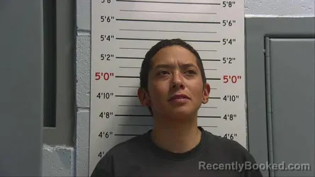 Mugshot of KIMBERLY JUSTINICH booked in Sandoval County, New Mexico on April 29, 2026