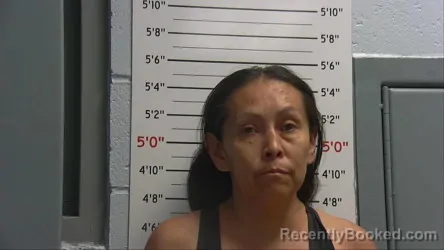 Mugshot of RENA GALLEGOS booked in Sandoval County, New Mexico on May 20, 2026