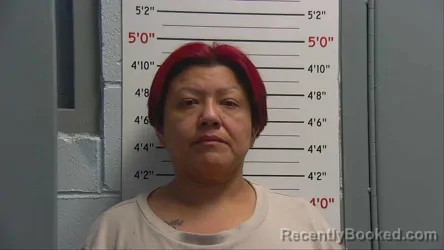 Mugshot of ANGELICA BOTELLO booked in Sandoval County, New Mexico on June 26, 2026