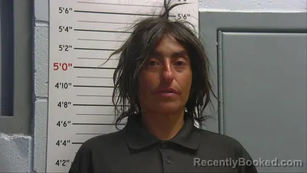 Mugshot of GUADALUPE NAVARRO booked in Sandoval County, New Mexico on June 27, 2026