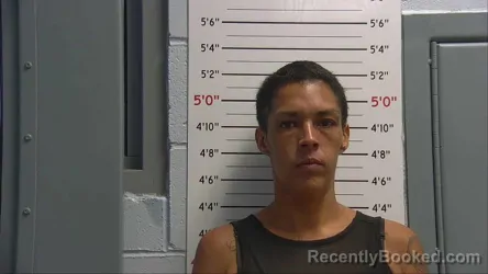 Mugshot of ERIKA RENEE LUCERO booked in Sandoval County, New Mexico on June 30, 2026