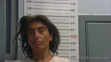 Mugshot of GUADALUPE NAVARRO booked in Sandoval County, New Mexico on July 10, 2026