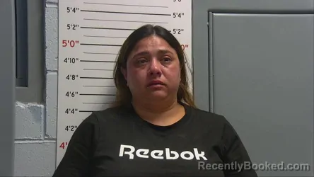 Mugshot of Ankita Patel booked in Sandoval County, New Mexico on September 24, 2026