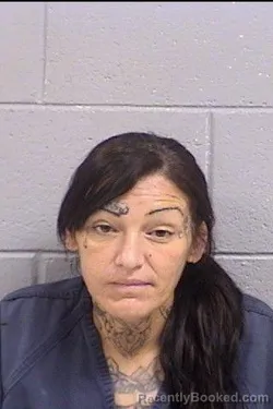 Mugshot of Kallisha Marie Henneberger booked in San Juan County, New Mexico on October 20, 2026
