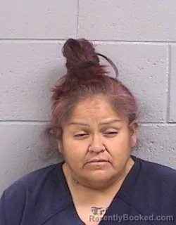 Mugshot of Tracy Ann Toledo booked in San Juan County, New Mexico on April 26, 2026