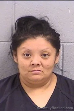Mugshot of Topaz Cara Hammitt booked in San Juan County, New Mexico on August 17, 2026